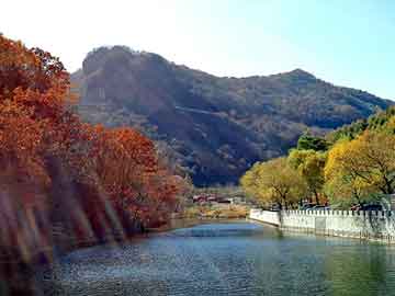 新澳天天开奖资料大全旅游团，追爱绿眸